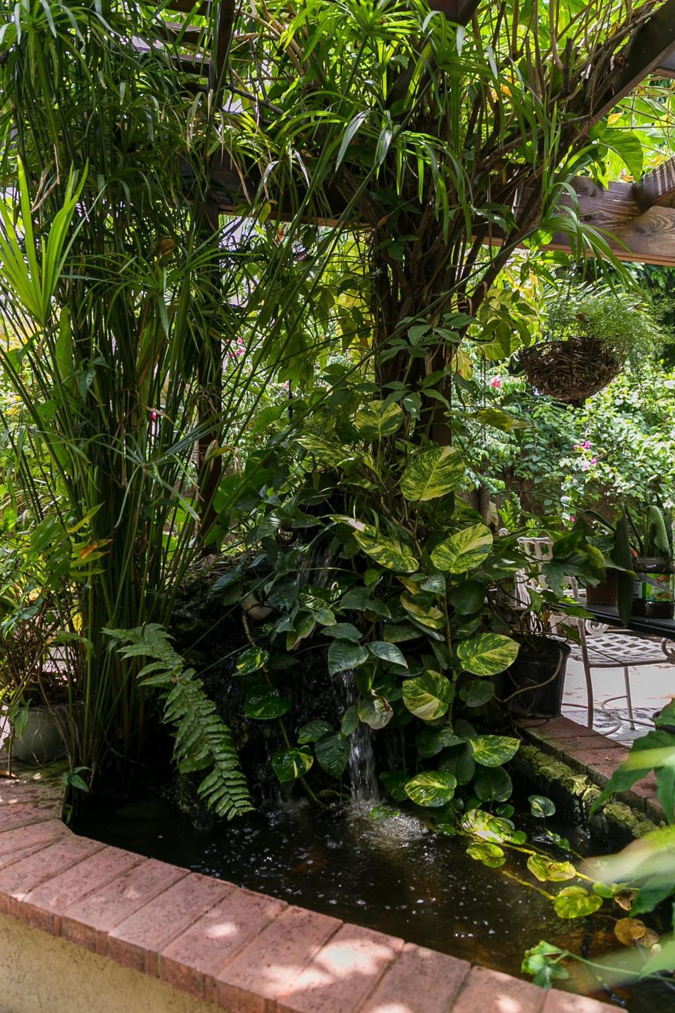 דירות Botanic Bliss Living In קינגסטון מראה חיצוני תמונה